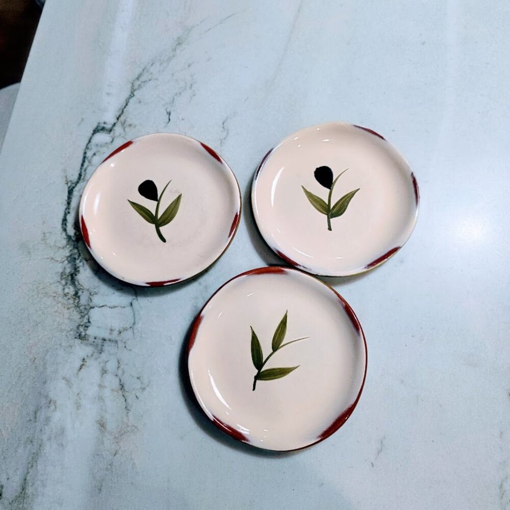 Bella Cucina Appetizer Plates